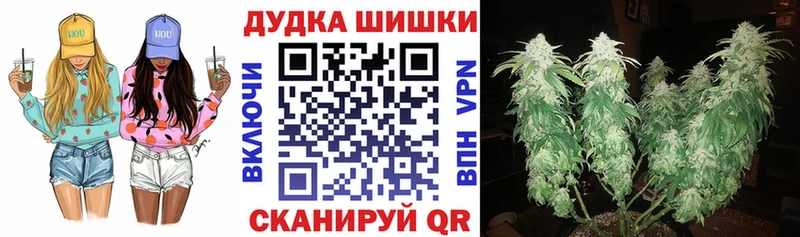 наркотики  Верея  Канабис планчик 