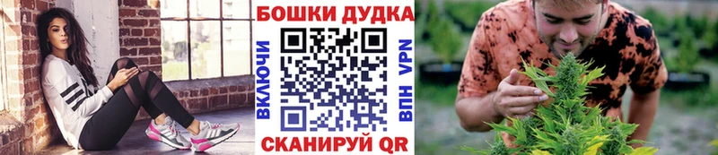 Бошки Шишки ГИДРОПОН Верея